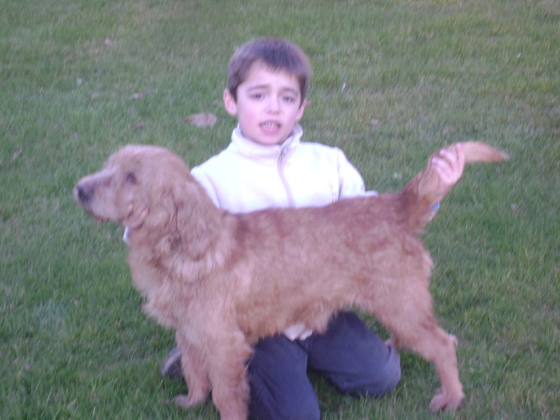 Sardo De creac'h leue